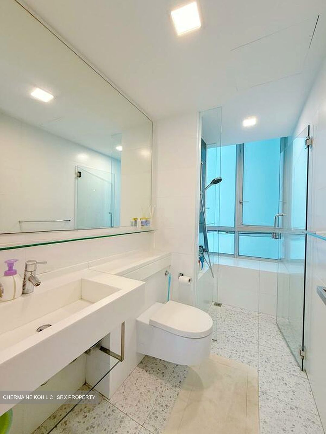 One Amber (D15), Condominium #508741051